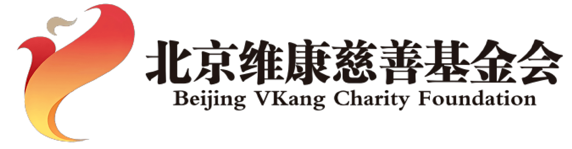 北京维康慈善基金会